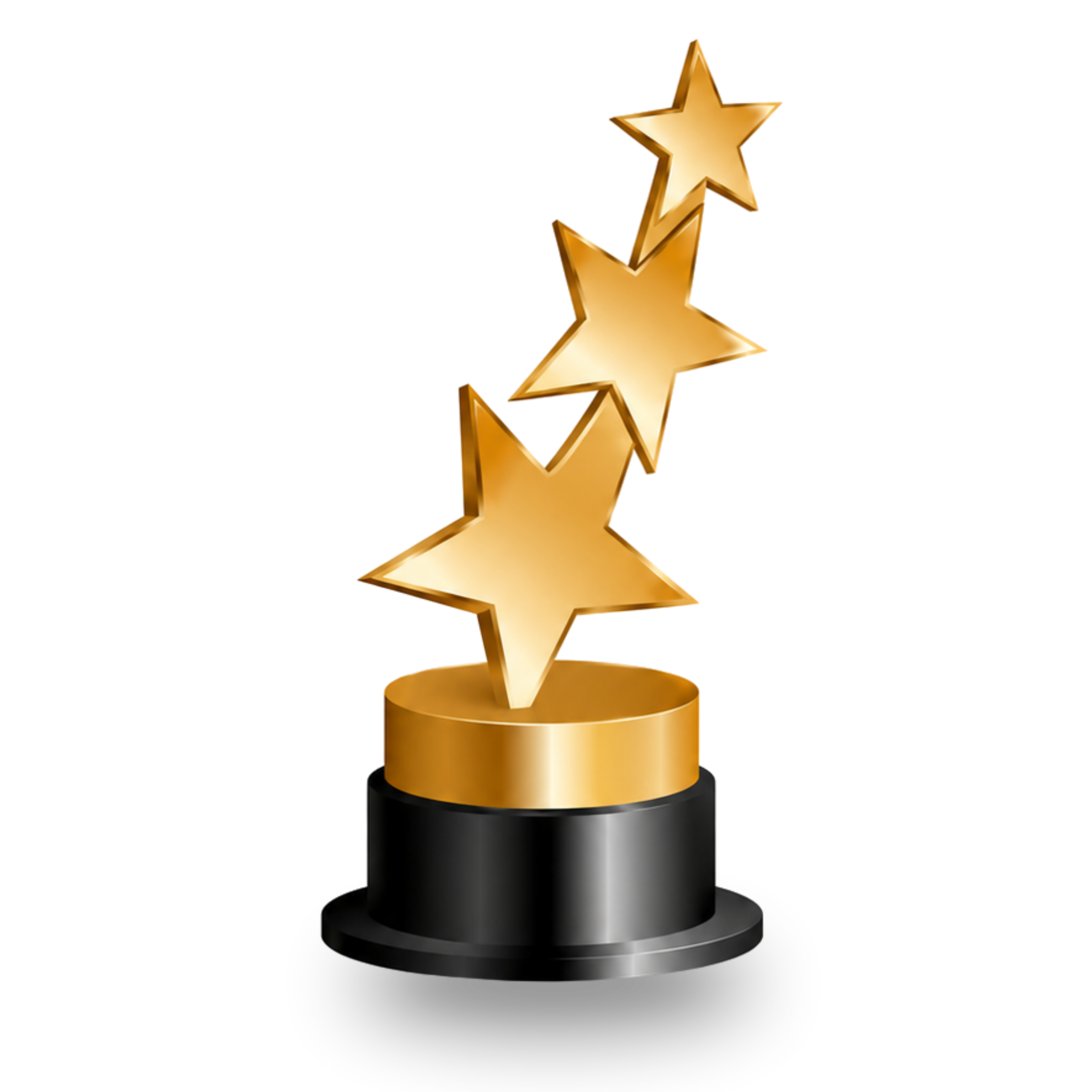 Excellence in Digital Marketing